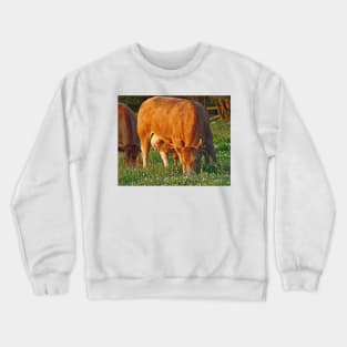 Summer Calf Crewneck Sweatshirt